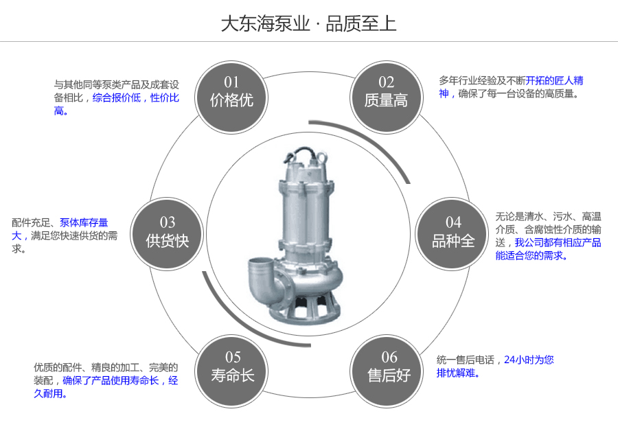 大東海泵業(yè)不銹鋼潛水泵質量保證圖